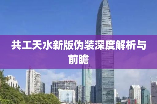 共工天水新版伪装深度解析与前瞻