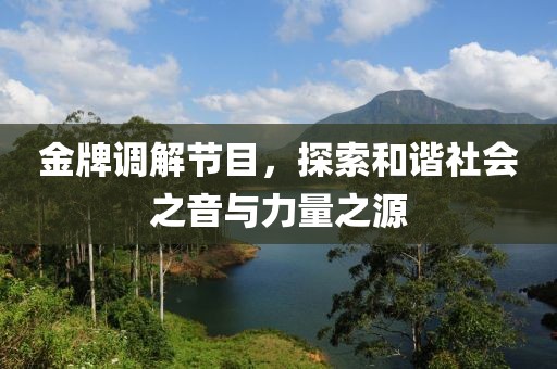 金牌调解节目，探索和谐社会之音与力量之源