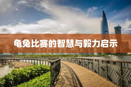 龟兔比赛的智慧与毅力启示