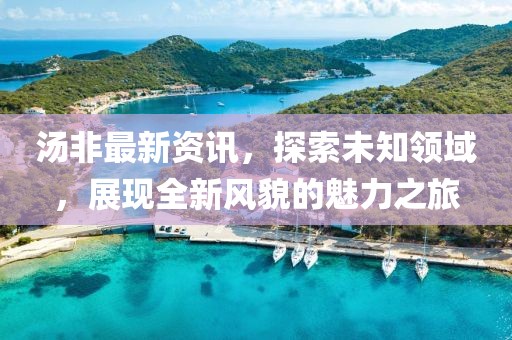 汤非最新资讯，探索未知领域，展现全新风貌的魅力之旅
