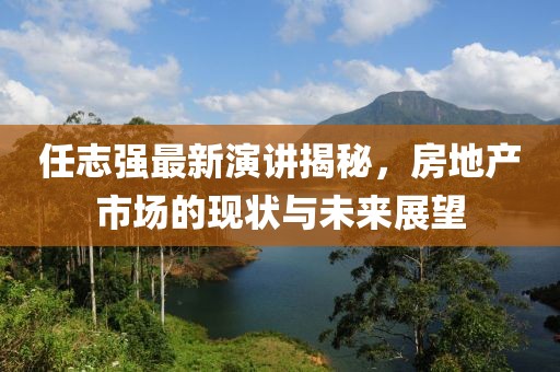 任志强最新演讲揭秘，房地产市场的现状与未来展望
