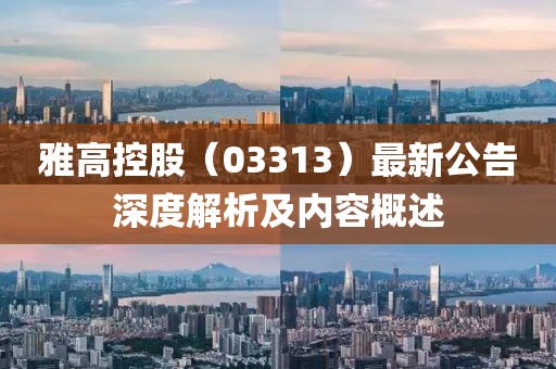 雅高控股（03313）最新公告深度解析及内容概述