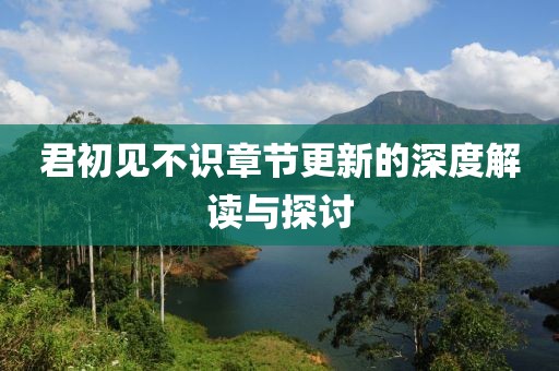 君初见不识章节更新的深度解读与探讨