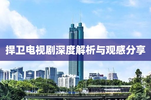 捍卫电视剧深度解析与观感分享