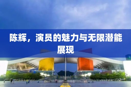 陈辉，演员的魅力与无限潜能展现