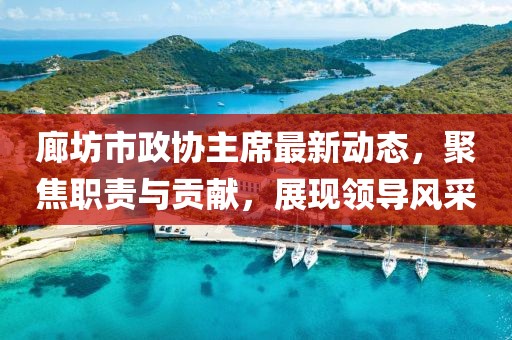 廊坊市政协主席最新动态，聚焦职责与贡献，展现领导风采