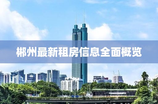 郴州最新租房信息全面概览