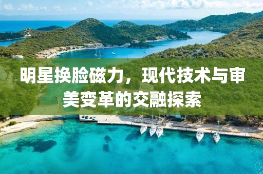 明星换脸磁力，现代技术与审美变革的交融探索