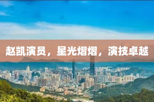 赵凯演员，星光熠熠，演技卓越