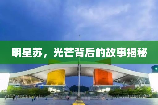 明星苏，光芒背后的故事揭秘