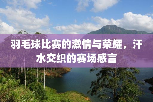 羽毛球比赛的激情与荣耀，汗水交织的赛场感言