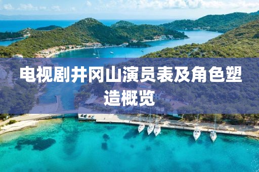 电视剧井冈山演员表及角色塑造概览