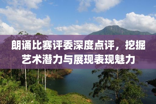 朗诵比赛评委深度点评，挖掘艺术潜力与展现表现魅力
