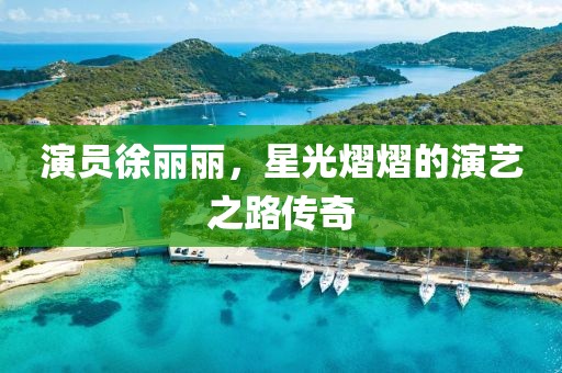 演员徐丽丽，星光熠熠的演艺之路传奇