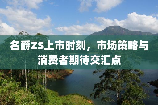名爵ZS上市时刻，市场策略与消费者期待交汇点