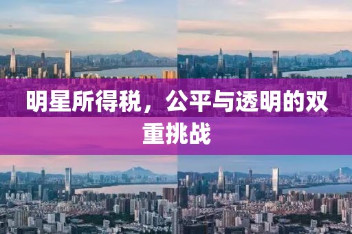 明星所得税，公平与透明的双重挑战