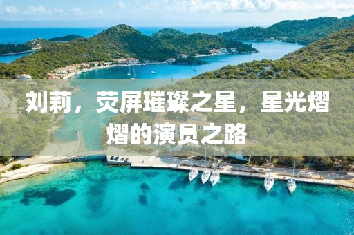 刘莉，荧屏璀璨之星，星光熠熠的演员之路