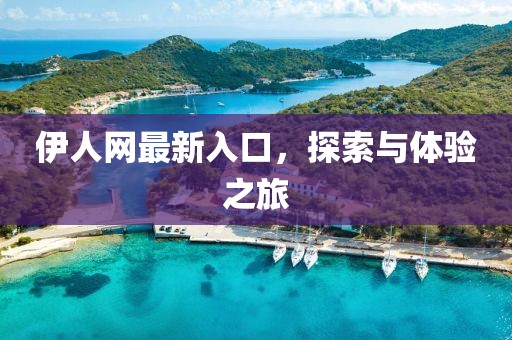 伊人网最新入口，探索与体验之旅