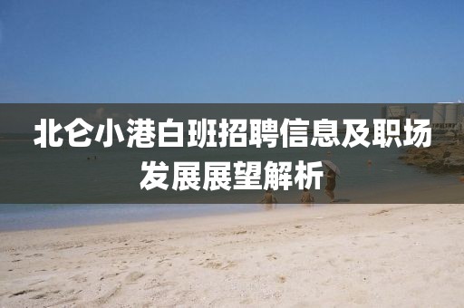 北仑小港白班招聘信息及职场发展展望解析