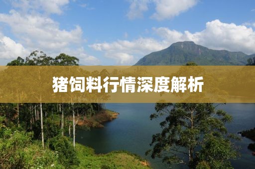 猪饲料行情深度解析
