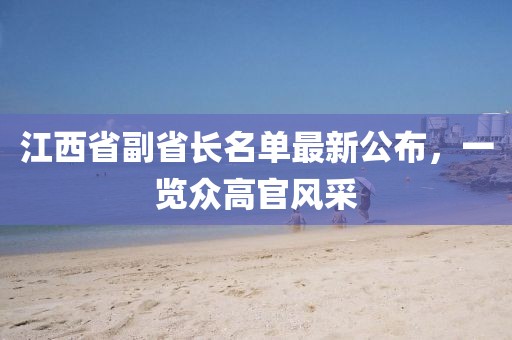 江西省副省长名单最新公布，一览众高官风采