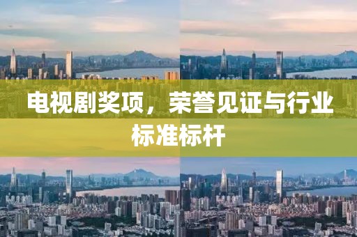 电视剧奖项，荣誉见证与行业标准标杆