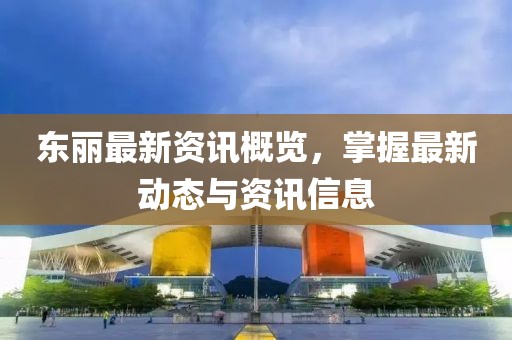 东丽最新资讯概览，掌握最新动态与资讯信息