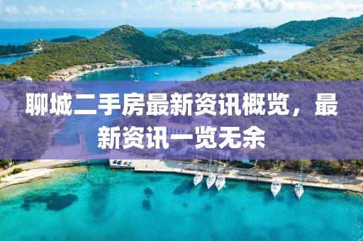 聊城二手房最新资讯概览，最新资讯一览无余