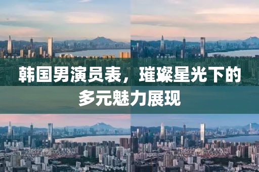 韩国男演员表，璀璨星光下的多元魅力展现