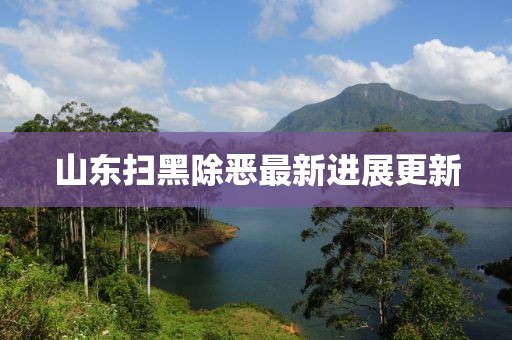 山东扫黑除恶最新进展更新