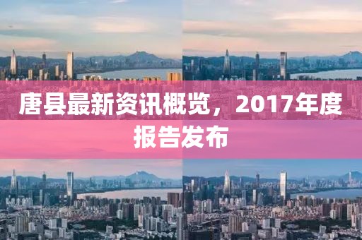 唐县最新资讯概览，2017年度报告发布