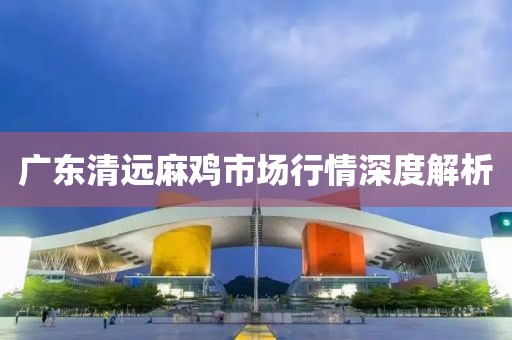 广东清远麻鸡市场行情深度解析