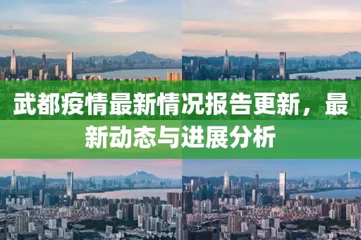 武都疫情最新情况报告更新，最新动态与进展分析