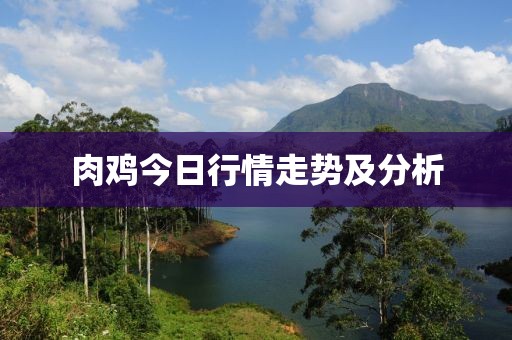 肉鸡今日行情走势及分析