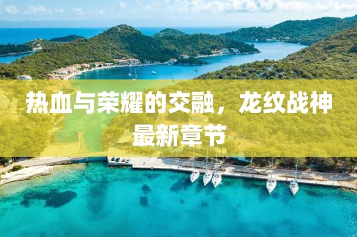 热血与荣耀的交融，龙纹战神最新章节
