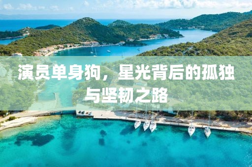 演员单身狗，星光背后的孤独与坚韧之路