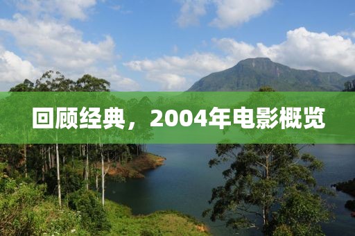回顾经典，2004年电影概览