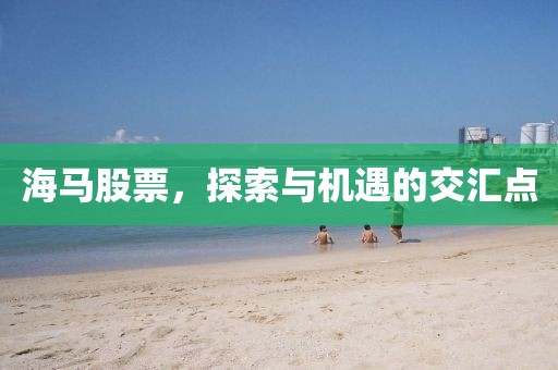 海马股票，探索与机遇的交汇点