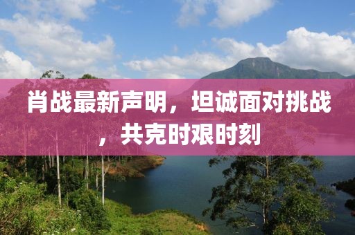 肖战最新声明，坦诚面对挑战，共克时艰时刻