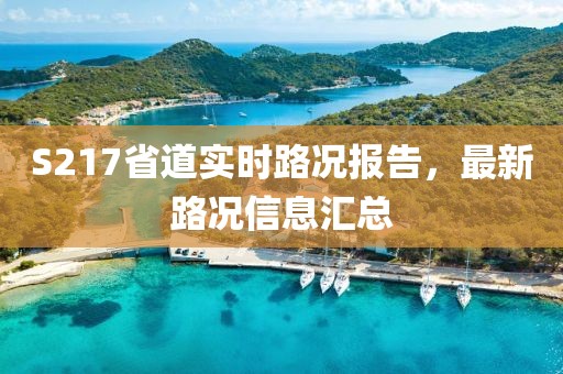 S217省道实时路况报告，最新路况信息汇总