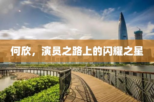 何欣，演员之路上的闪耀之星