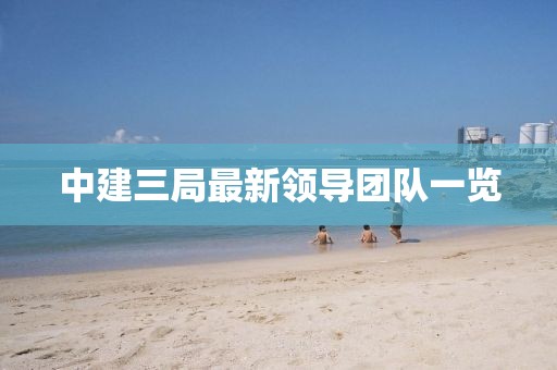 中建三局最新领导团队一览