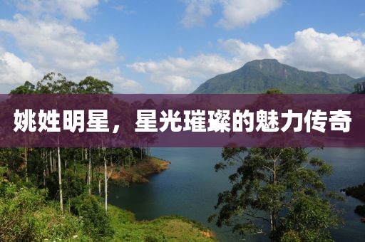 姚姓明星，星光璀璨的魅力传奇
