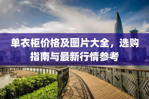 单衣柜价格及图片大全，选购指南与最新行情参考