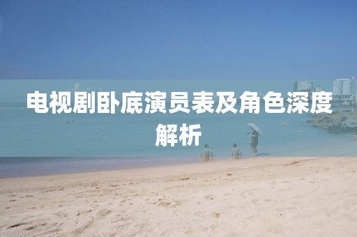 电视剧卧底演员表及角色深度解析