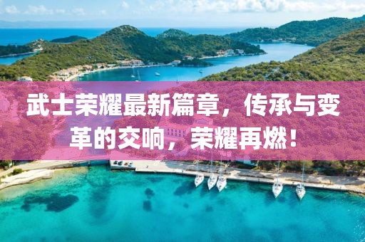 武士荣耀最新篇章，传承与变革的交响，荣耀再燃！