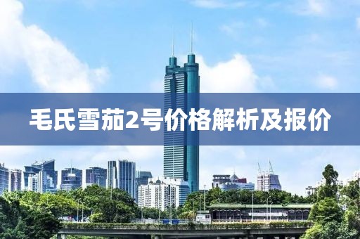 毛氏雪茄2号价格解析及报价