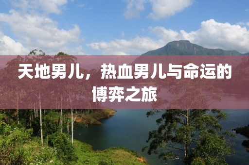 天地男儿，热血男儿与命运的博弈之旅