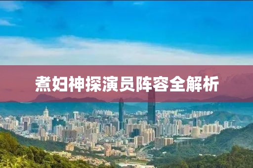 煮妇神探演员阵容全解析