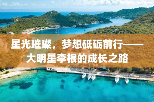 星光璀璨，梦想砥砺前行——大明星李根的成长之路